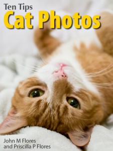 Ten-Tips--Cat-Photos-cover-v2-nate-on-back