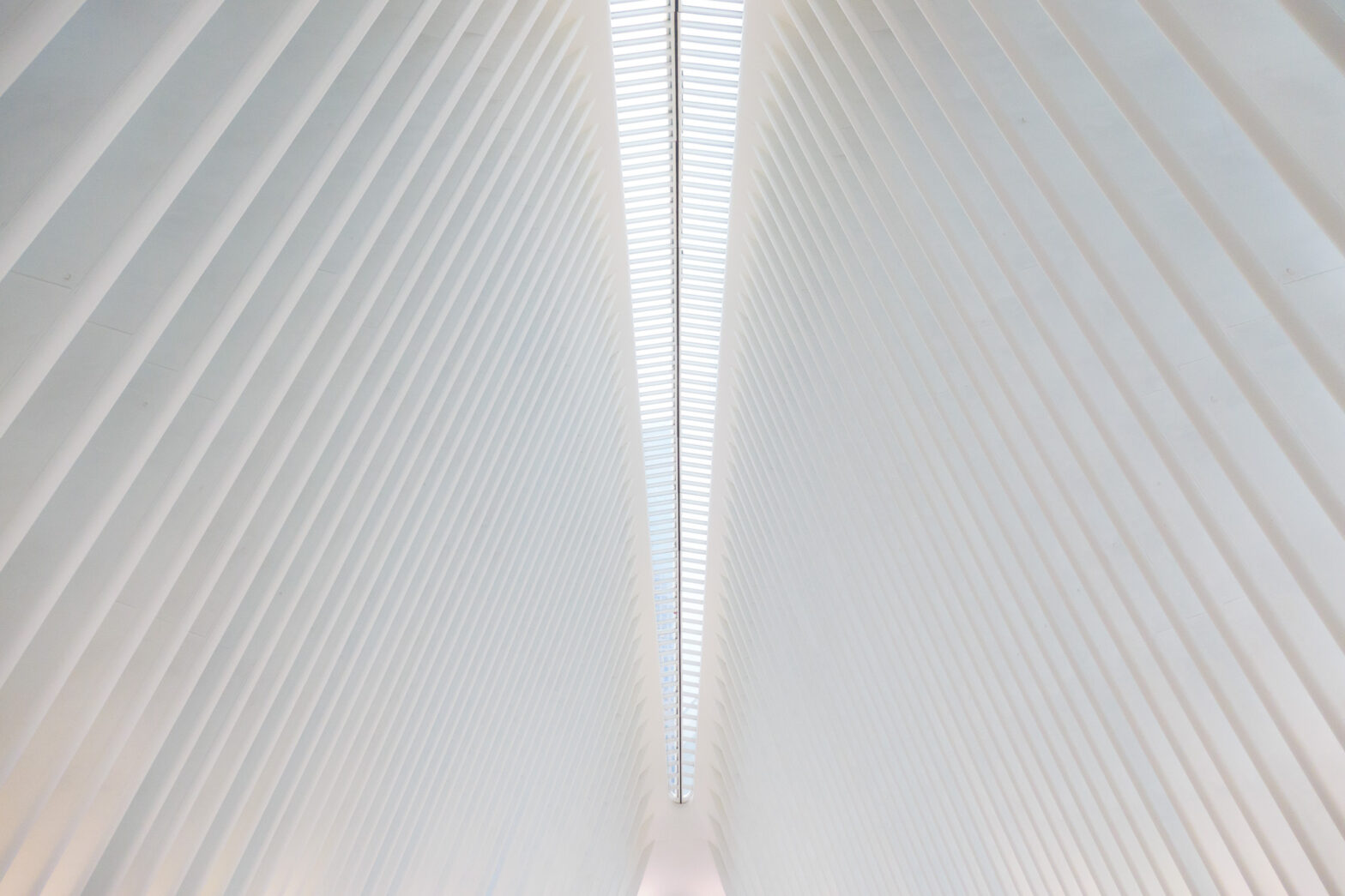 A photo looking up at the shimmering white ceiling of the Oculus Transportation Hub in New York, designed by Spanish architect Santiago Calatrava. The ceiling is comprised of closely spaced white ribs rising up towards a clear glass skylight that arcs over the center of the frame towards a terminus point at the far end of the hall. It kind of feels like being in a giant whale; the skylight is the spine and the white ribs define the space.