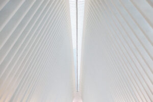 A photo looking up at the shimmering white ceiling of the Oculus Transportation Hub in New York, designed by Spanish architect Santiago Calatrava. The ceiling is comprised of closely spaced white ribs rising up towards a clear glass skylight that arcs over the center of the frame towards a terminus point at the far end of the hall. It kind of feels like being in a giant whale; the skylight is the spine and the white ribs define the space.